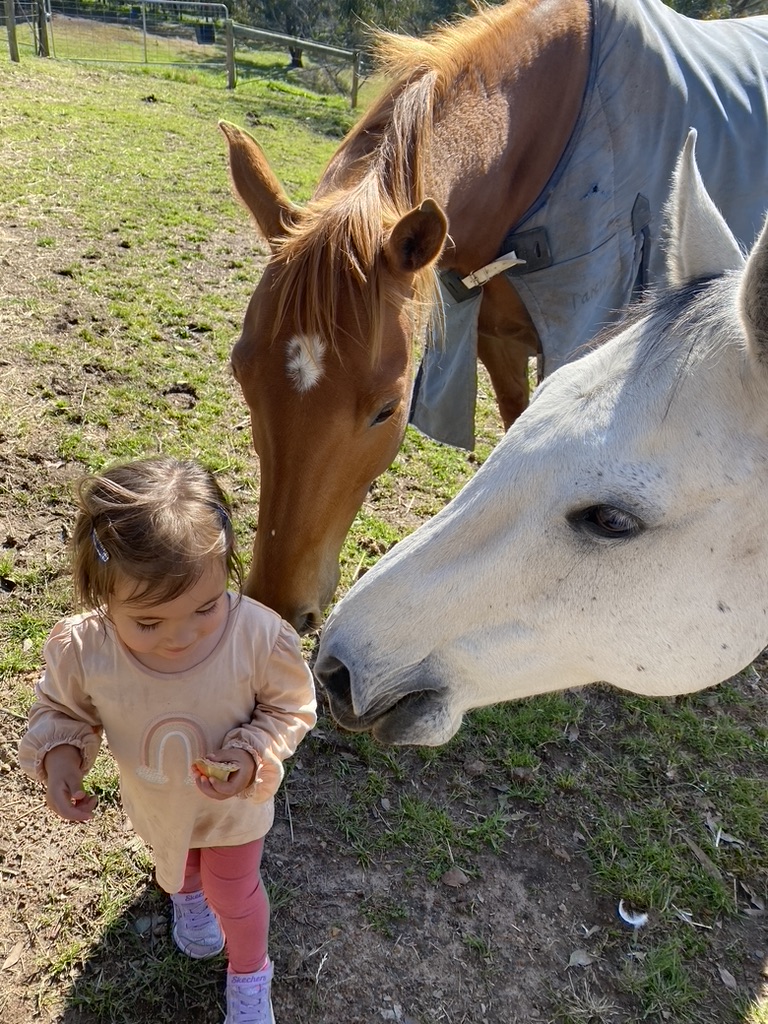 285D195B-D4DF-4247-A077-4918F2D9730F_1_105_c Best B&B Yarra Valley
