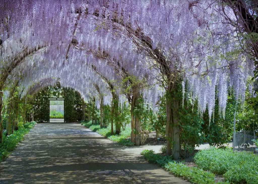 allowyn explore yarra glen