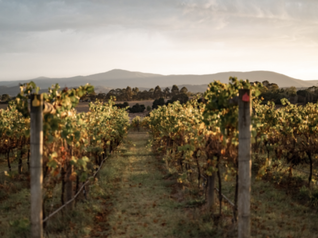 Best BNB Yarra Valley